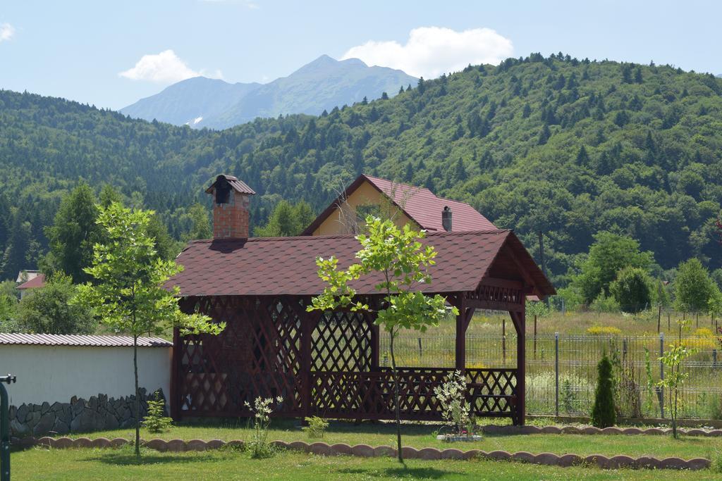 Pensiunea Mountain King Simbata de Sus Exterior photo