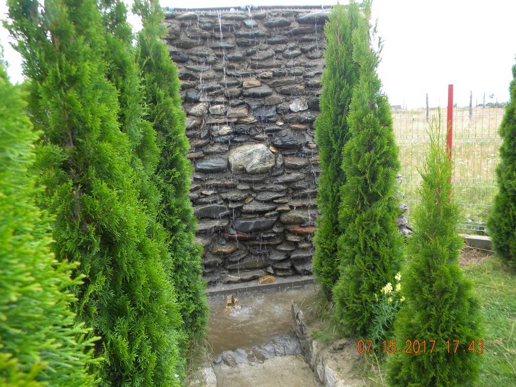 Pensiunea Mountain King Simbata de Sus Exterior photo